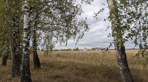 Продам участок 7,37 соток, ИЖС, Высокое д, 0 км от города