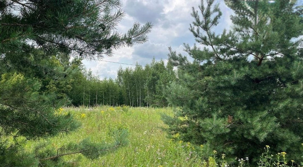 Продам участок 10,76 соток, ИЖС, Глебово с, 0 км от города