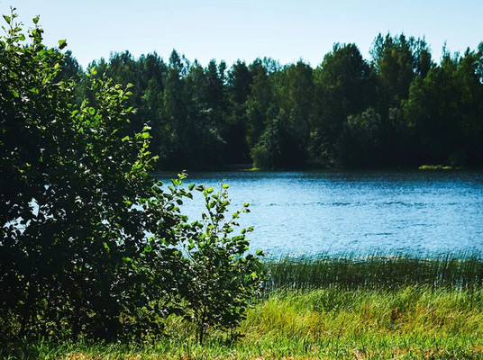 Продам участок 7,92 соток, Садоводство, Никитилово д, 0 км от города