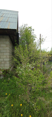 Продам дачу, Подборное тер. СНТ, 0 км от города