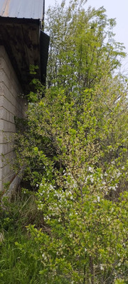 Продам дачу, Подборное тер. СНТ, 0 км от города