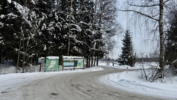 Продам участок 8,91 соток, Садоводство, Колтуши д, 0 км от города