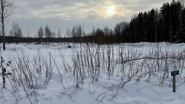 Продам участок 8,91 соток, Садоводство, Колтуши д, 0 км от города