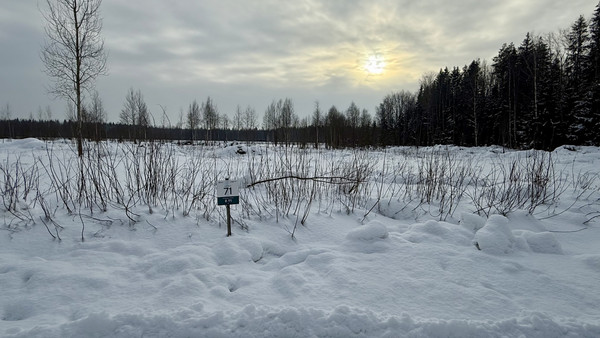 Продам участок 8,91 соток, Садоводство, Колтуши д, 0 км от города