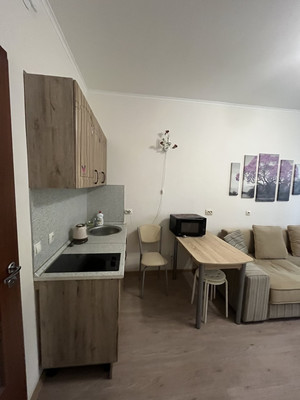 Сдам однокомнатную (1-комн.) квартиру, Охтинская аллея, 16, Мурино п