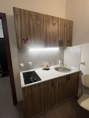 Сдам однокомнатную (1-комн.) квартиру, Охтинская аллея, 16, Мурино п