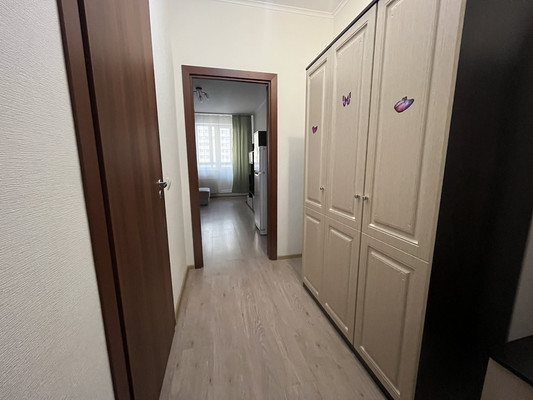 Сдам однокомнатную (1-комн.) квартиру, Охтинская аллея, 16, Мурино п