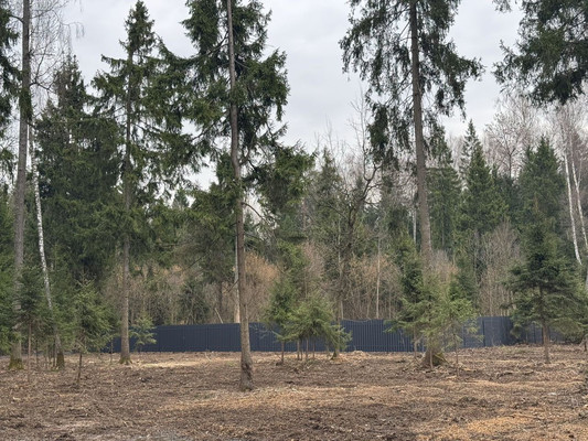 Продам участок 6,7 соток, ИЖС, Селятино д, 0 км от города