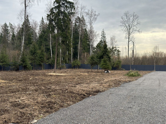 Продам участок 6,7 соток, ИЖС, Селятино д, 0 км от города