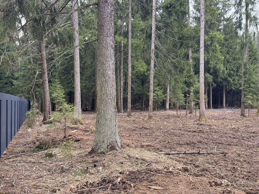 Продам участок 6,7 соток, ИЖС, Селятино д, 0 км от города