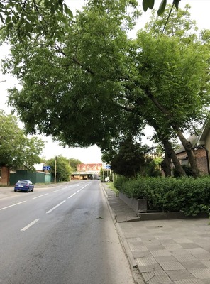 Продам дом, Лесопарковая ул, Ростов-на-Дону г, 0 км от города