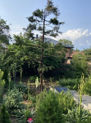 Продам дом, Лесопарковая ул, Ростов-на-Дону г, 0 км от города