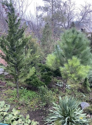 Продам дом, Лесопарковая ул, Ростов-на-Дону г, 0 км от города