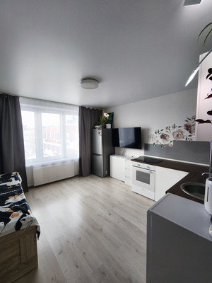 Продам однокомнатную (1-комн.) квартиру, Бояринова (Новое Павлино мкр.) ул, 23, Балашиха г