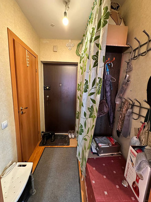 Продам однокомнатную (1-комн.) квартиру, Заречная ул, 45к1, Парголово п