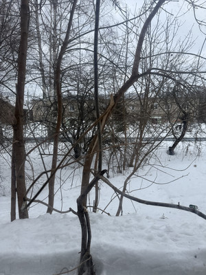 Продам трехкомнатную (3-комн.) квартиру, Вокзальная ул, 3А, Пустоши п