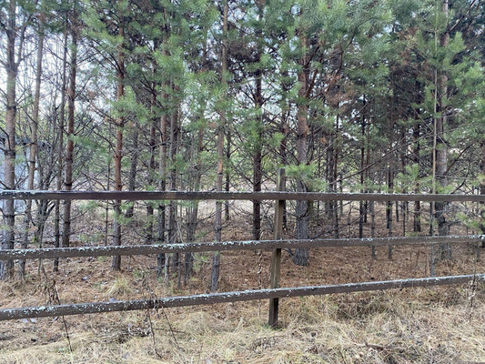 Продам участок 25 соток, ИЖС, Жукова ул, 20, Нижние Таволги д, 0 км от города