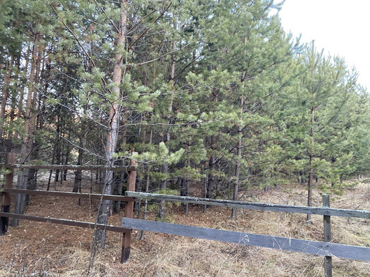 Продам участок 25 соток, ИЖС, Жукова ул, 20, Нижние Таволги д, 0 км от города