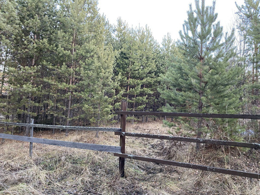 Продам участок 25 соток, ИЖС, Жукова ул, 20, Нижние Таволги д, 0 км от города