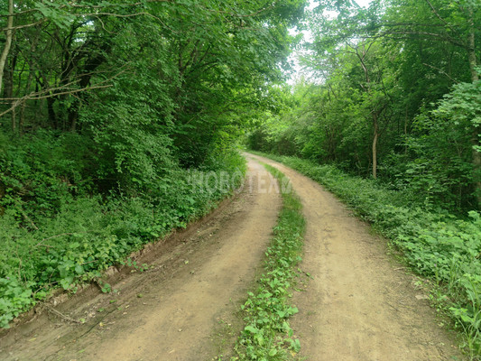 Продам участок 6,2 соток, Фермерское хоз., СНТ Чародейка тер, Ильский пгт, 0 км от города