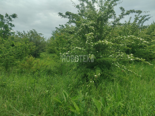 Продам участок 6,2 соток, Фермерское хоз., СНТ Чародейка тер, Ильский пгт, 0 км от города