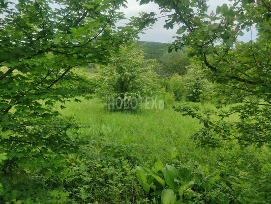 Продам участок 6,2 соток, Фермерское хоз., СНТ Чародейка тер, Ильский пгт, 0 км от города