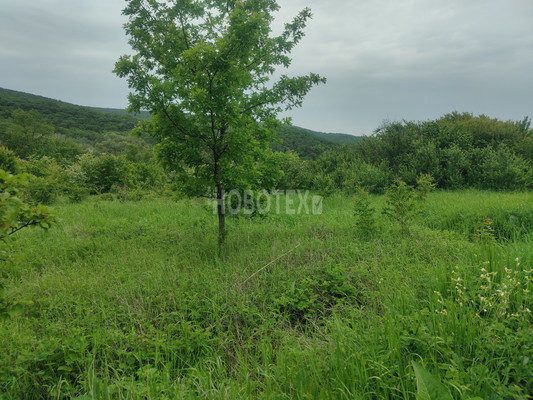 Продам участок 6,2 соток, Фермерское хоз., СНТ Чародейка тер, Ильский пгт, 0 км от города