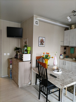 Продам однокомнатную (1-комн.) квартиру, Новая ул, 15, Мурино п