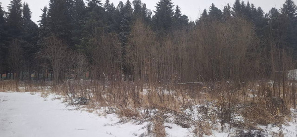 Продам участок 7,5 соток, ИЖС, Строителей ул, 52, Ханты-Мансийск г, 0 км от города