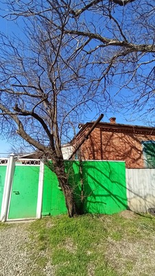 Продам дом, Центральная ул, 41б/1, Марьино с, 0 км от города