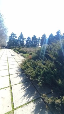 Продам дом, Центральная ул, 41б/1, Марьино с, 0 км от города