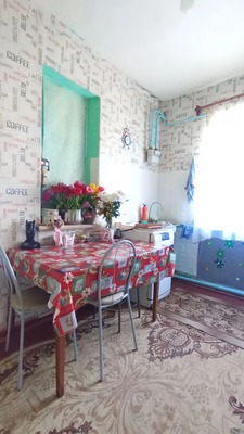 Продам дом, Центральная ул, 41б/1, Марьино с, 0 км от города