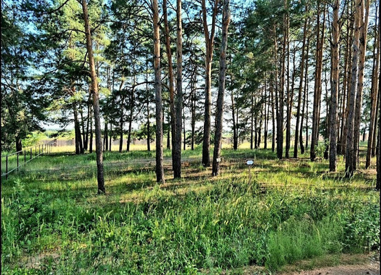 Продам дом, Новая ул, Дубровичи с, 0 км от города