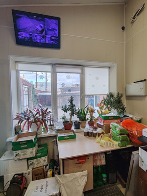 Сдам склад 560 м2, Сеченова ул, 8ка, Ростов-на-Дону г