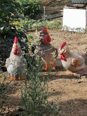 Продам дачу, ПО ТО Рассвет тер, 18а, Волгодонск г, 0 км от города