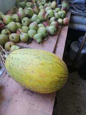 Продам дачу, ПО ТО Рассвет тер, 18а, Волгодонск г, 0 км от города