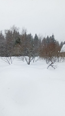 Продам дачу, Дачная ул, Бельское д, 0 км от города