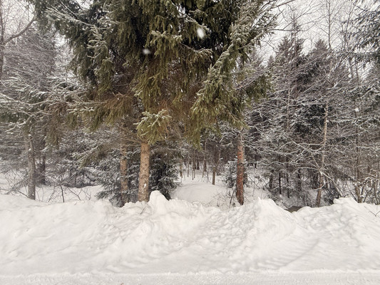 Продам дачу, Дачная ул, Бельское д, 0 км от города