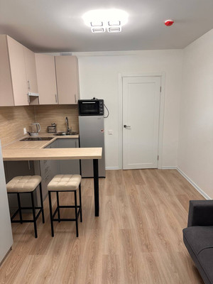 Сдам однокомнатную (1-комн.) квартиру, Пахомовская ул, 10к4, Санкт-Петербург г