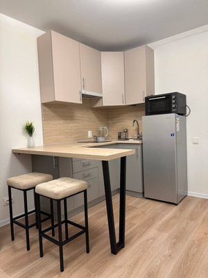 Сдам однокомнатную (1-комн.) квартиру, Пахомовская ул, 10к4, Санкт-Петербург г