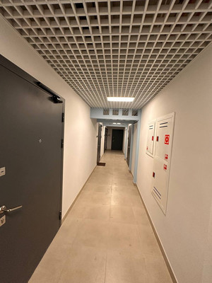 Сдам однокомнатную (1-комн.) квартиру, Пахомовская ул, 10к4, Санкт-Петербург г