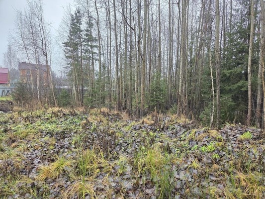 Продам участок 16 соток, ИЖС, Ягодная ул, 3, Новотроицк д, 0 км от города