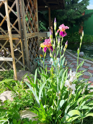 Продам дом, Серп и молот тер, 57, Пушкино г, 0 км от города