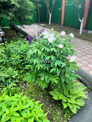 Продам дом, Серп и молот тер, 57, Пушкино г, 0 км от города