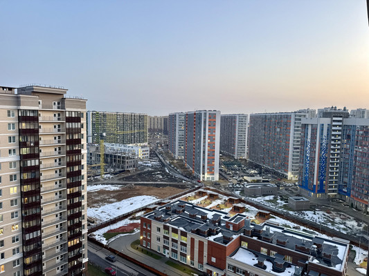 Сдам однокомнатную (1-комн.) квартиру, Фёдора Котанова ул, 3к2, Санкт-Петербург г