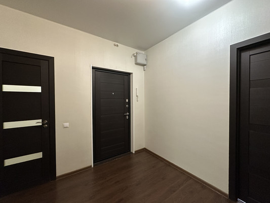 Продам двухкомнатную (2-комн.) квартиру, Областная (Новый Оккервиль мкр) ул, 1, Кудрово г