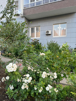 Продам трехкомнатную (3-комн.) квартиру, Южная ул, 27, Новороссийск г