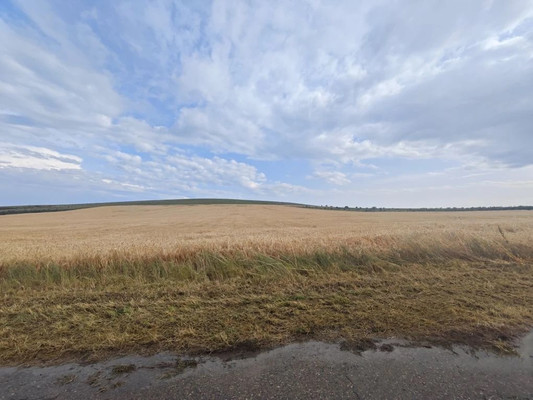 Продам участок 5 соток, ИЖС, Вязов ул, Веселовка п, 0 км от города