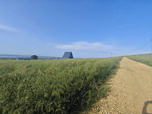 Продам участок 5 соток, ИЖС, Вязов ул, Веселовка п, 0 км от города