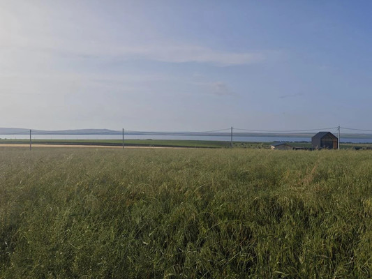 Продам участок 5 соток, ИЖС, Вязов ул, Веселовка п, 0 км от города